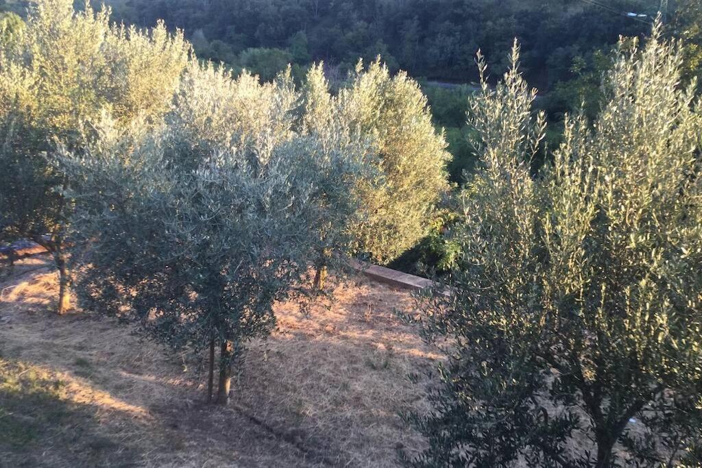 Casetta Helena Holiday home